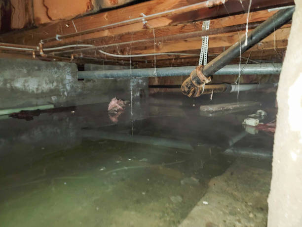 Sewage cleanup and water damage restoration in MO