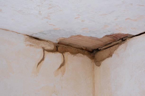 Best Basement water damage restoration  in Hannibal, MO