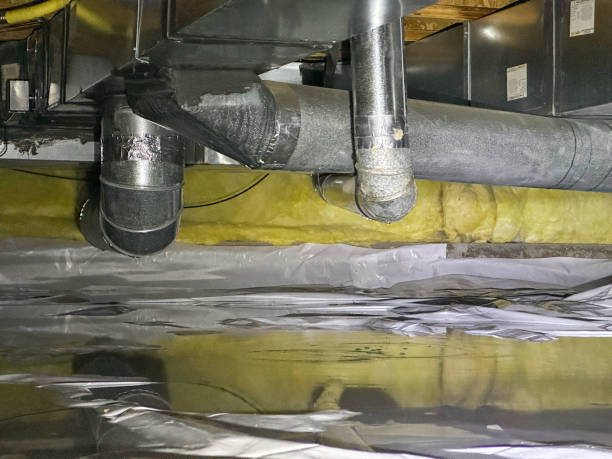 Best Local water damage restoration  in Hannibal, MO