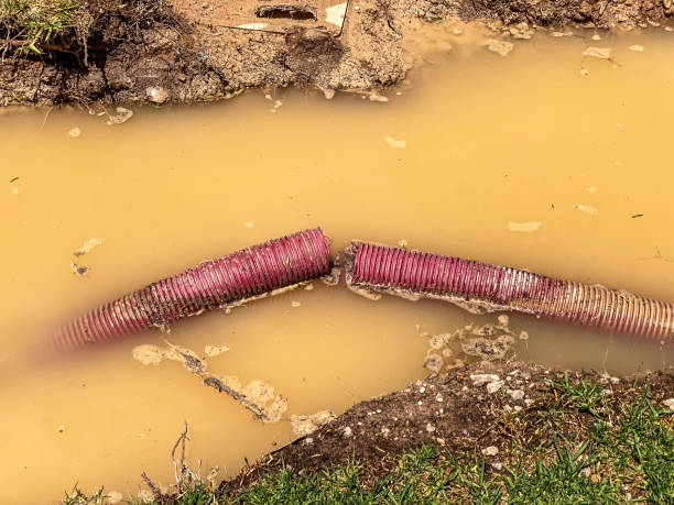 Best Water damage contractors near me  in Hannibal, MO