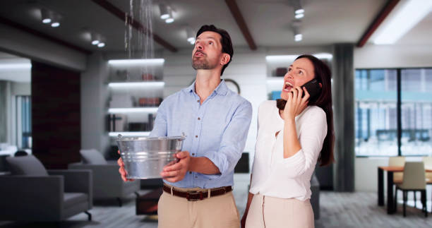 Best Flooded house restoration  in Hannibal, MO